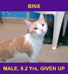 BINX