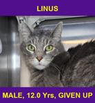 LINUS
