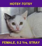 HOTSY-TOTSY