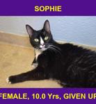 SOPHIE