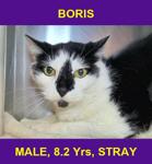 BORIS