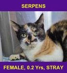 SERPENS