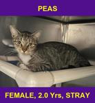 PEAS