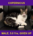 COPERNICUS