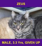 ZEUS