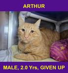 ARTHUR