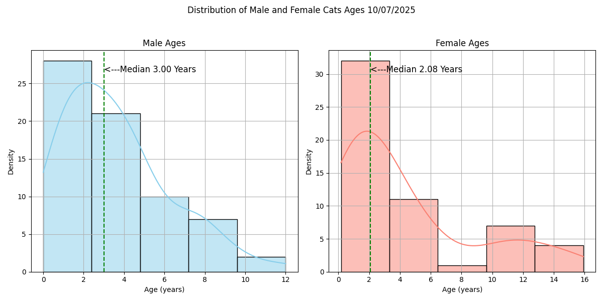 Age