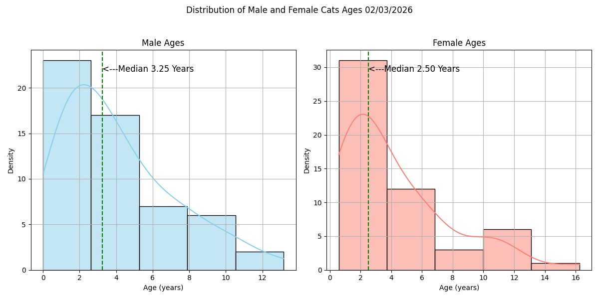 Age