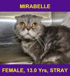 MIRABELLE
