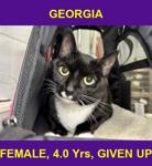 GEORGIA