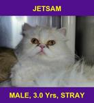 JETSAM
