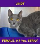 LINDT