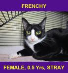 FRENCHY