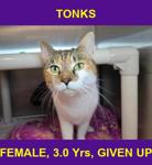 TONKS
