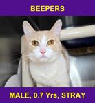 BEEPERS