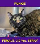 PUNKIE