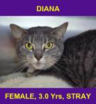 DIANA