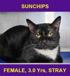 SUNCHIPS
