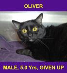 OLIVER
