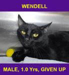 WENDELL