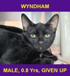 WYNDHAM