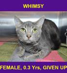 WHIMSY