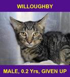 WILLOUGHBY