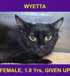 WYETTA