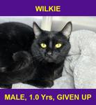 WILKIE