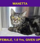 WANETTA