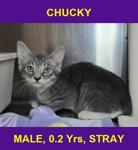 CHUCKY