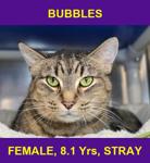 BUBBLES