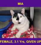 MIA