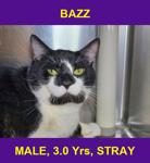BAZZ