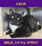 CALIX