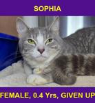 SOPHIA