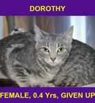 DOROTHY