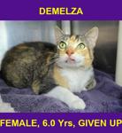 DEMELZA