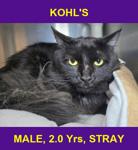 KOHL'S