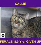 CALLIE