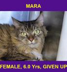 MARA