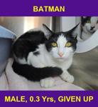 BATMAN