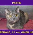 PATTIE