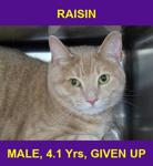 RAISIN