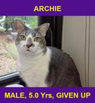 ARCHIE