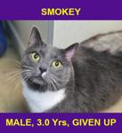 SMOKEY