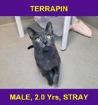 TERRAPIN