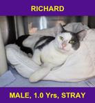 RICHARD