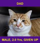 DAD