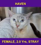 HAVEN
